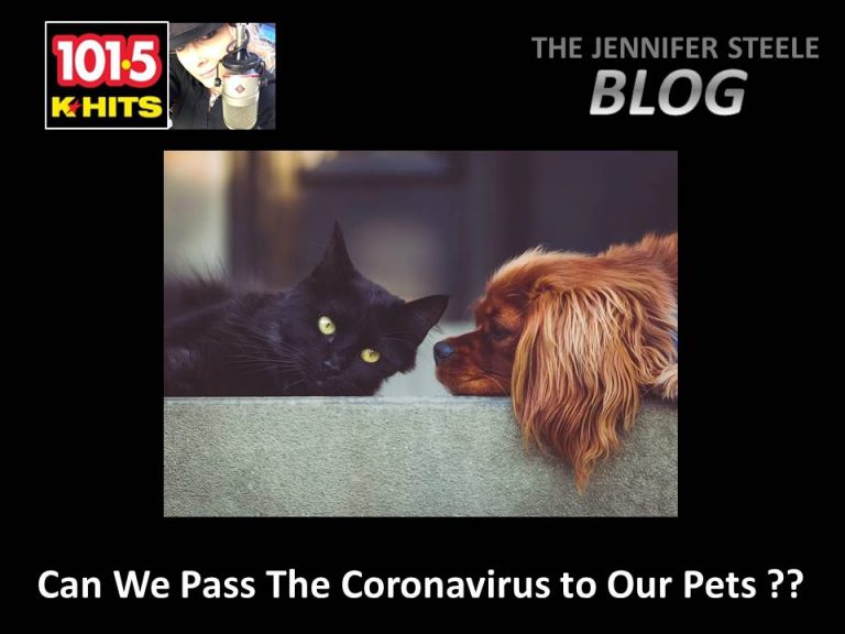 Can we pass the new coronavirus to our pets?
