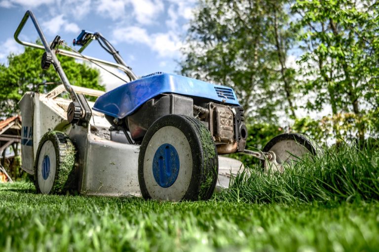 Today’s Good News: Man Starts Free Lawn Care Company For Seniors & Veterans